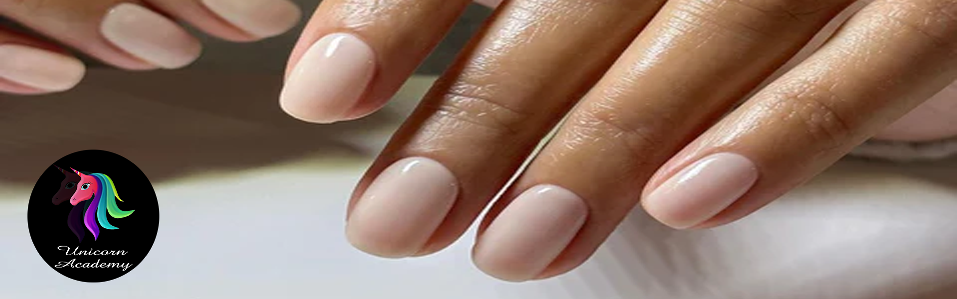 Chic Nude Nail Extension